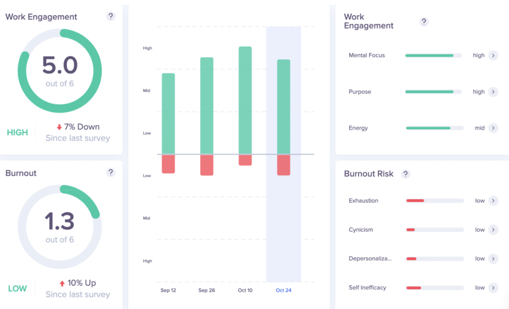 Yerbo results showing levels of work engagement and burnout risk.