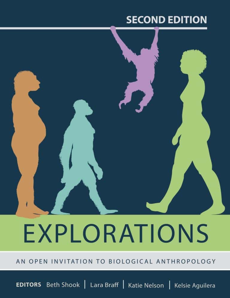 book cover showing colourful representations of human evolution 