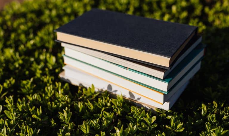 Stack of different books on short bright green park grass in soft evening light at sundown